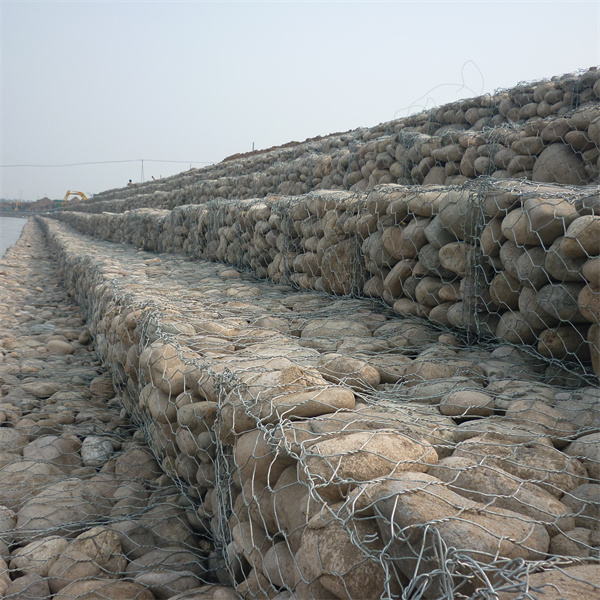 <trp-post-container data-trp-post-id='6934'>Elegant Durable Gabion Stone Wall Fence for Enhanced Landscaping Beauty</trp-post-container> <trp-post-container data-trp-post-id='6934'>Elegant Durable Gabion Stone Wall Fence for Enhanced Landscaping Beauty</trp-post-container>