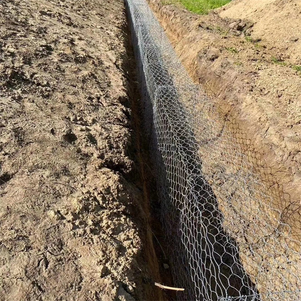 <trp-post-container data-trp-post-id='6925'>Maccaferri Gabion Baskets Manufacturing A Factory Perspective</trp-post-container> <trp-post-container data-trp-post-id='6925'>Maccaferri Gabion Baskets Manufacturing A Factory Perspective</trp-post-container>