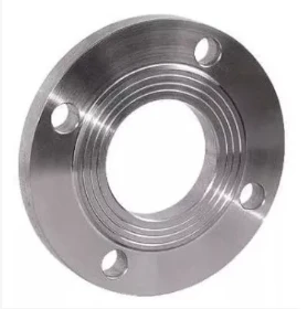 From Material to Process: Unveiling the Exceptional Durability of EN1092-1 Flanges