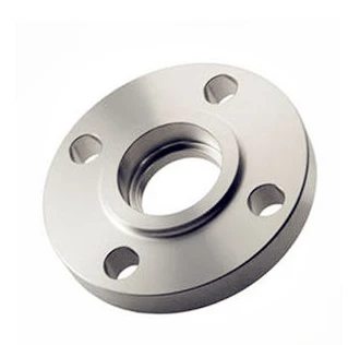 ASTM A182 F304 SW Flange