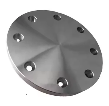 JIS 10K SS400 BL Flange