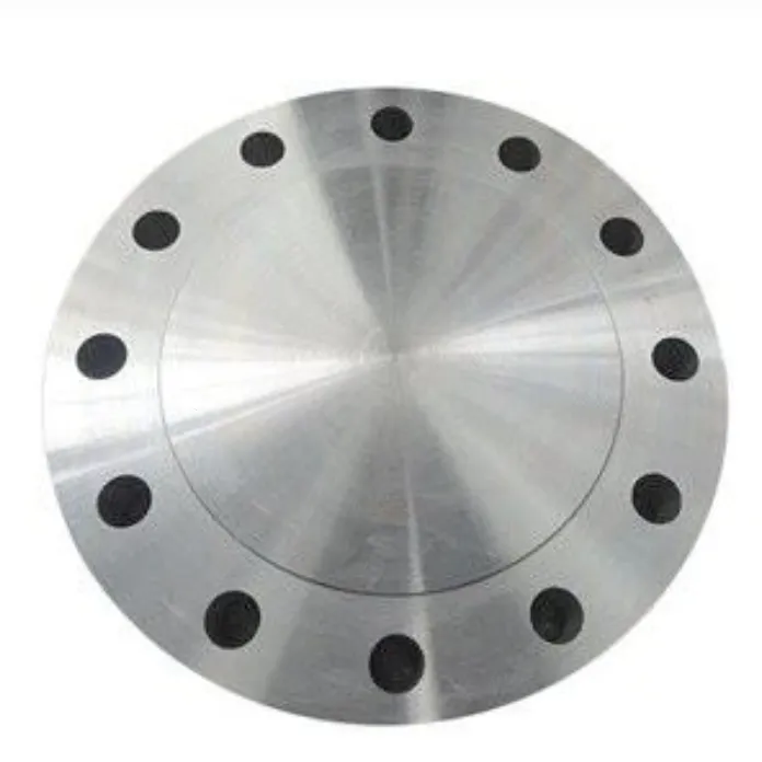 ANSI B16.47 Flange - Series A/B, Forged, Anti-Corrosion