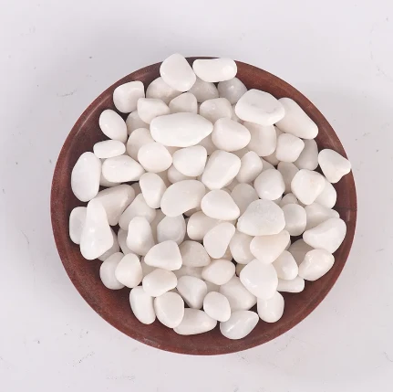 Enhancing Your Garden with White Pebbles: A Perfect Touch