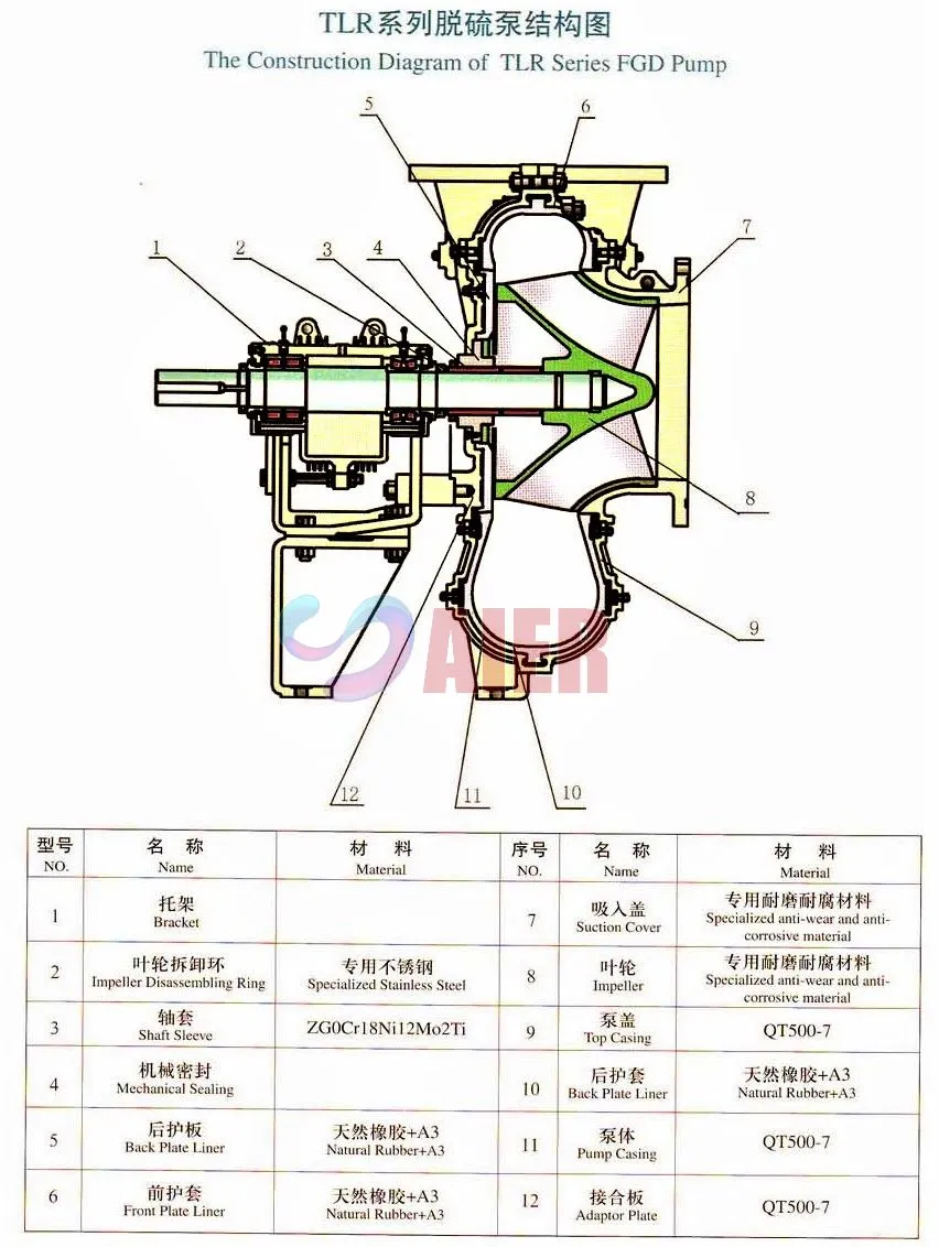 Construction Diagram of TLR.jpg