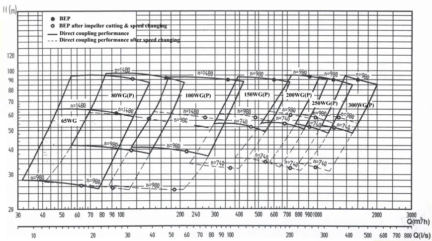WG Slurry Pump