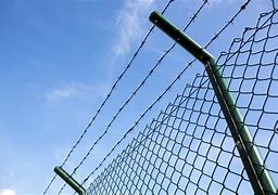 Premium 3D Curved Fence High-Quality Design for Enhanced Privacy and Aesthetics Premium 3D Curved Fence High-Quality Design for Enhanced Privacy and Aesthetics