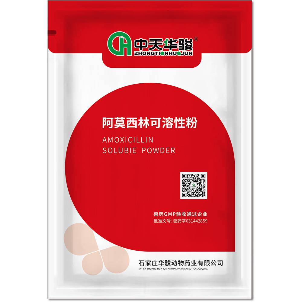 30% Amoxicillin soluble powder, Lactobacillin sodium