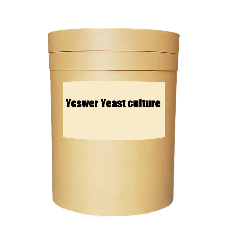 Yeast Culture