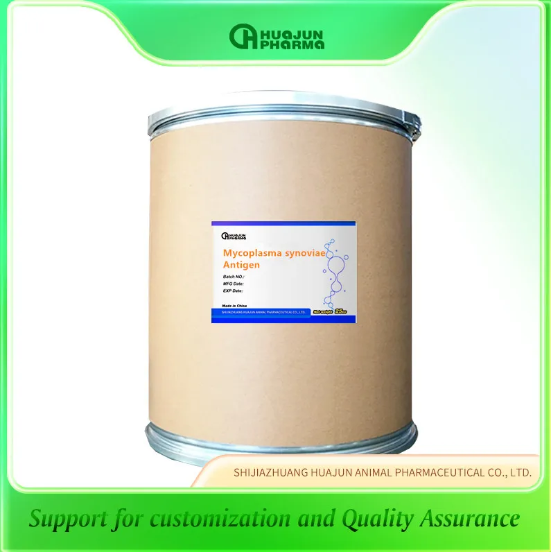 Mycoplasma synoviae antigen