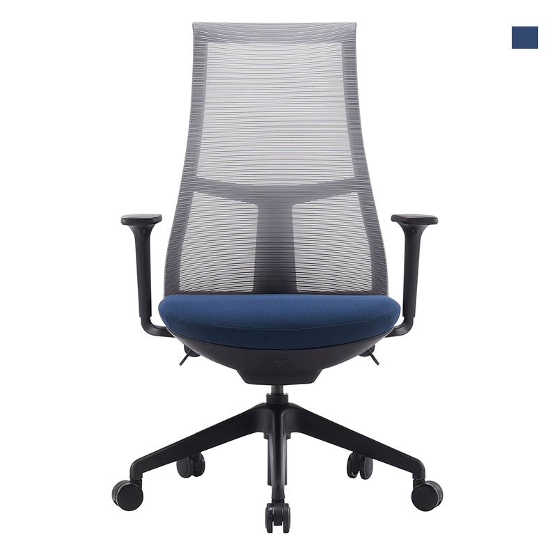Ergonomic Office Chair with Lumbar Support LN-4079G
