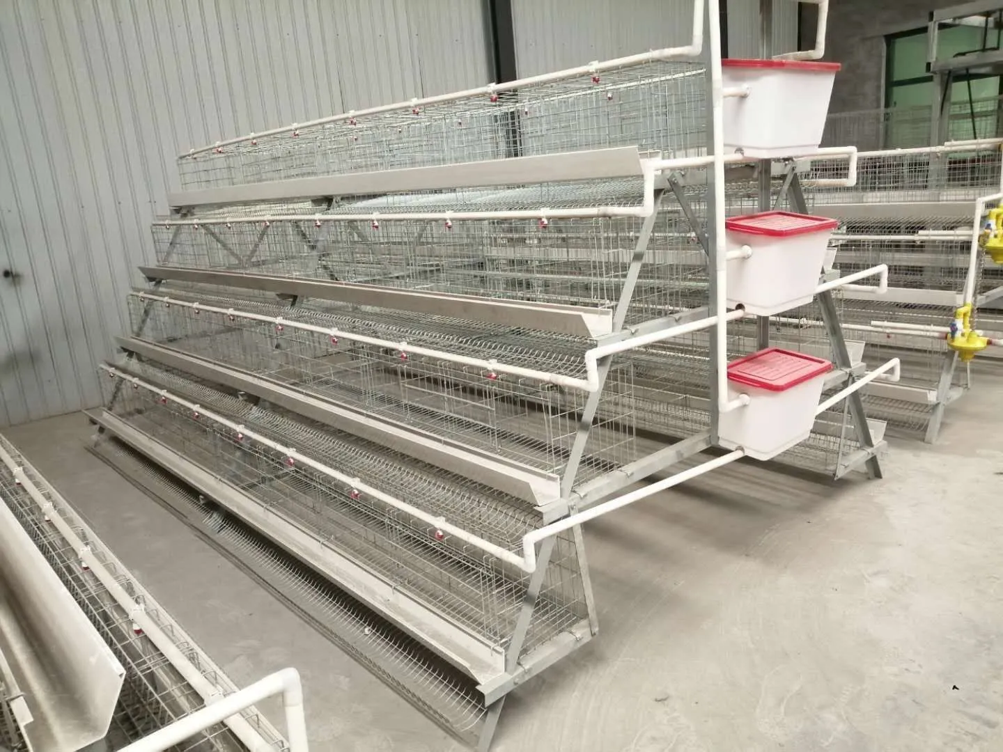 Read More AboutRevolutionizing Poultry Farming with Innovative Chicken Cages