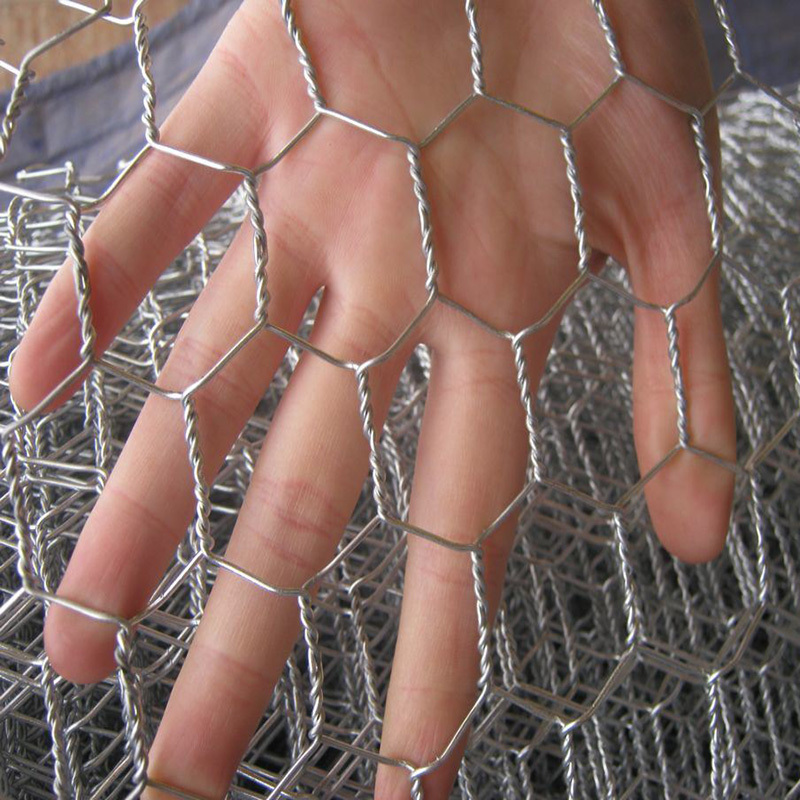 Leading Supplier of Stainless Steel Crimped Wire Mesh