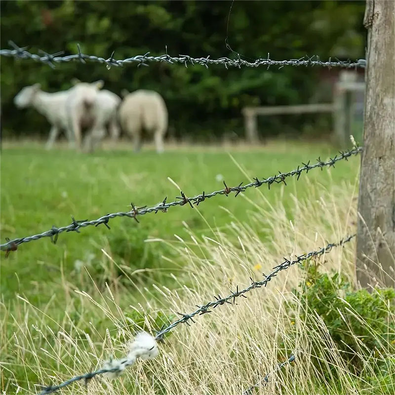 Wholesale chain link fence exporters near you.