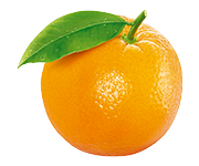 the preferred producing area, the selection of large fruit, rich fruit flavor, unique dried orange flavor, clean ingredients.