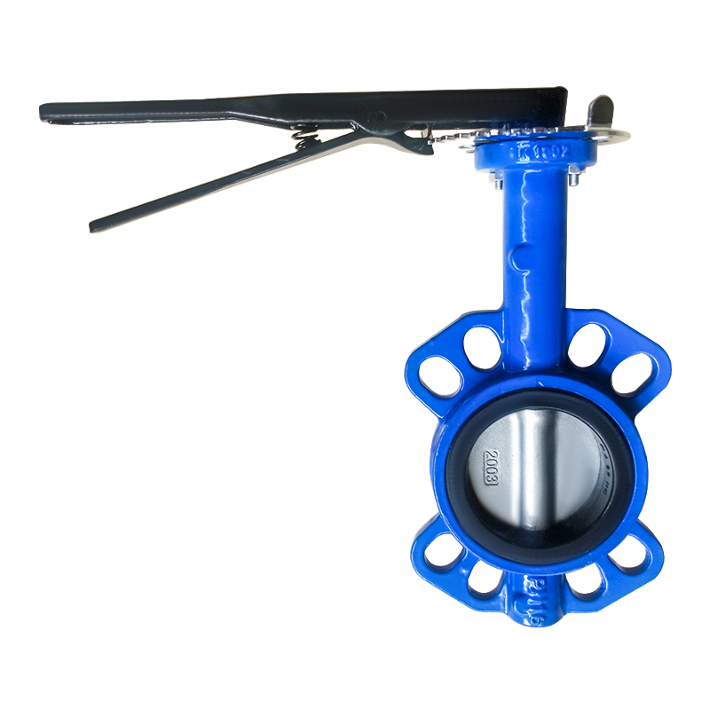 Leading Fire Check Valve Manufacturers and Suppliers Leading Fire Check Valve Manufacturers and Suppliers