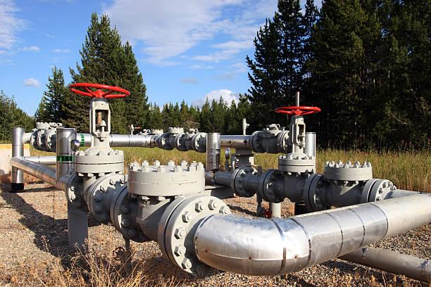 Sources for cylinder check valves suppliers Sources for cylinder check valves suppliers