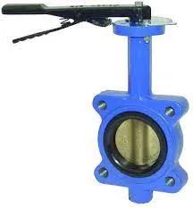 Liquid Transfer Check Valve An Overview of the Leading Exporter in the Industry Liquid Transfer Check Valve An Overview of the Leading Exporter in the Industry