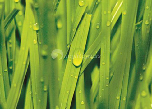 Check the valve butterfly type at the factory. Check the valve butterfly type at the factory.