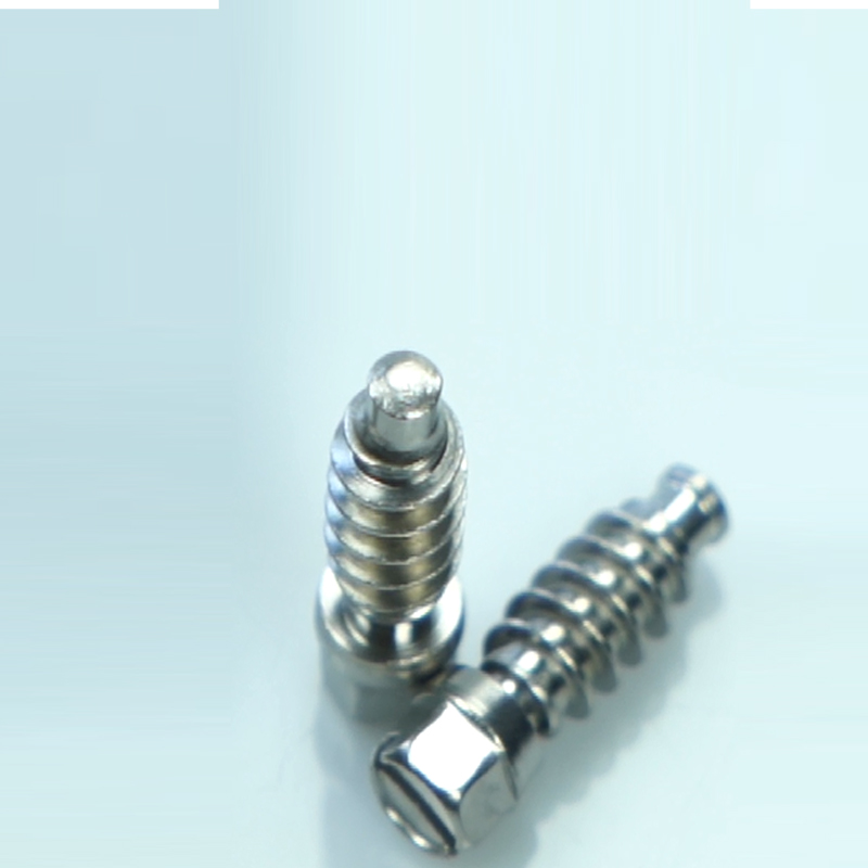 Various types of hose clamp screws