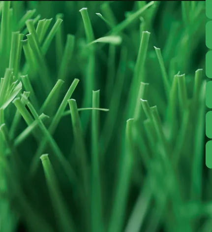 The Ultimate Golf Experience with an Artificial Putting Green