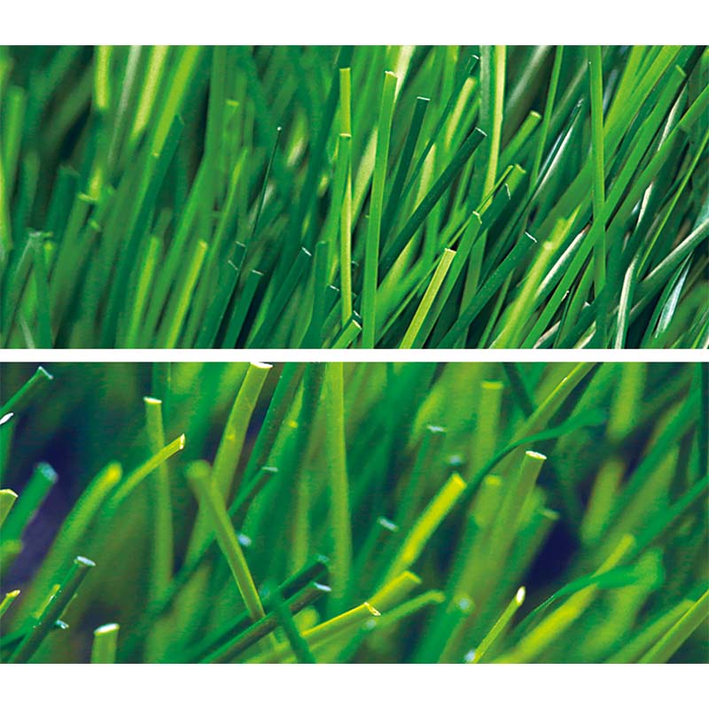 3. Best Products for Artificial Lawns