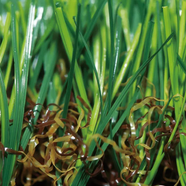 Revolutionizing Residential Landscapes Top Artificial Grass Exporter for Homeowners Revolutionizing Residential Landscapes Top Artificial Grass Exporter for Homeowners