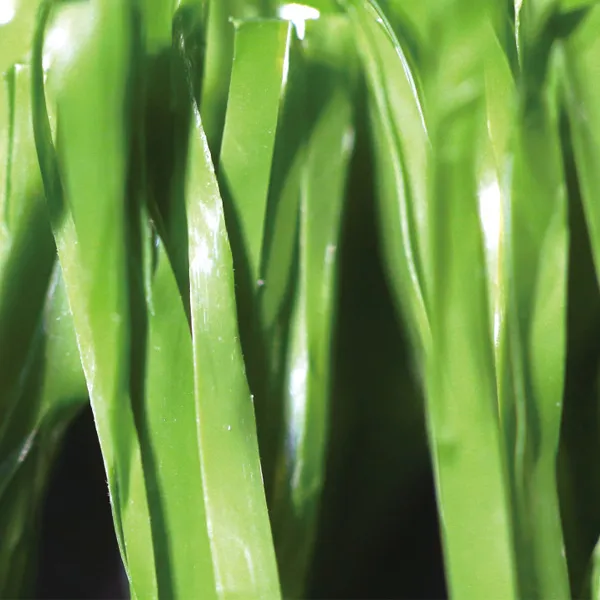 3. Leading Artificial Grass Football Pitch Manufacturers 3. Leading Artificial Grass Football Pitch Manufacturers