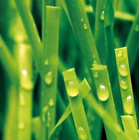 The Importance of Astroturf Soccer Field in Preventing Sports Injuries