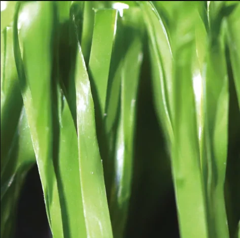 Add Vibrancy to Your Outdoors with Coloured Artificial Grass