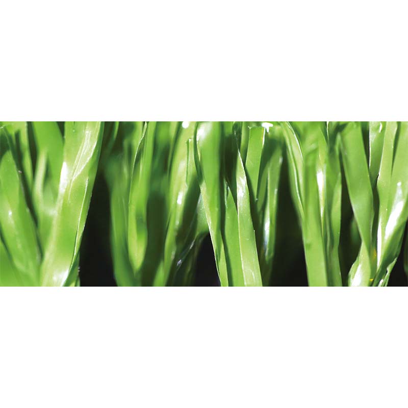 <trp-post-container data-trp-post-id='6763'>Synthetic pet grass exporter</trp-post-container> <trp-post-container data-trp-post-id='6763'>Synthetic pet grass exporter</trp-post-container>
