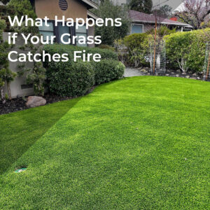 Artificial grass products for lawns. Artificial grass products for lawns.