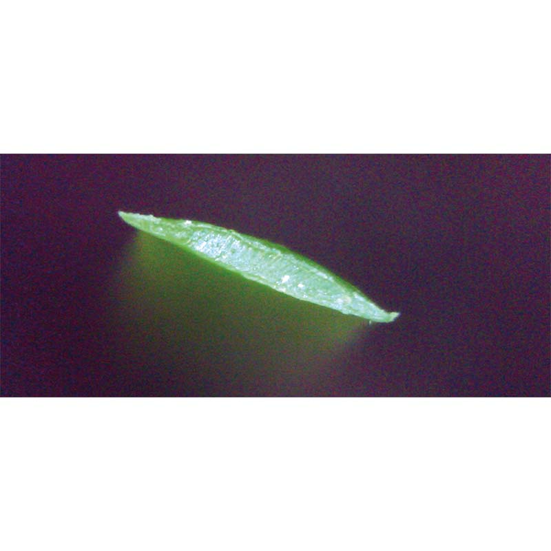 ODM provides artificial turf for tennis courts.