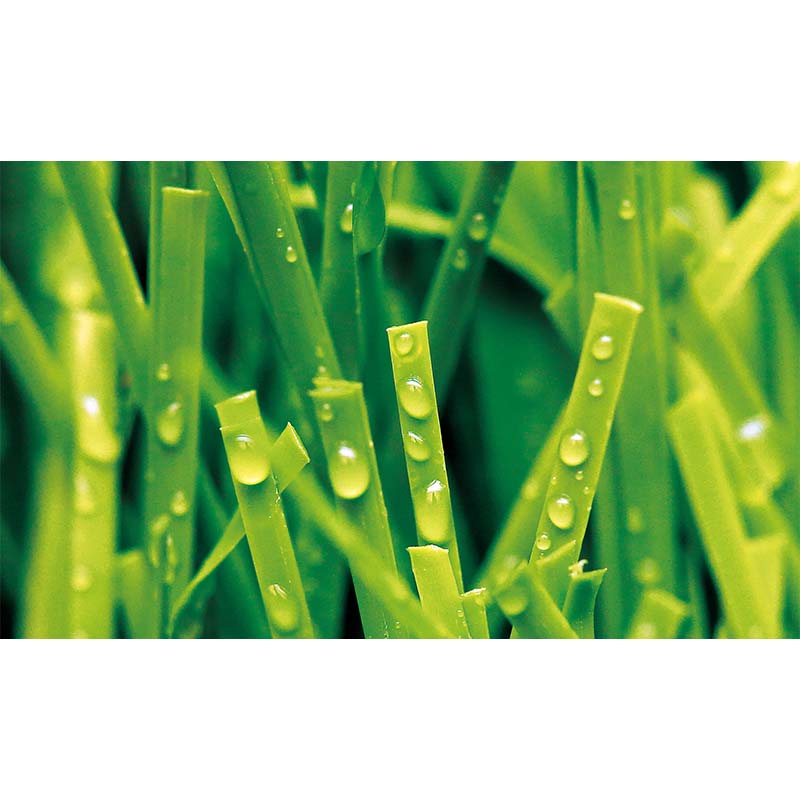 Cost of wholesale artificial grass for soccer fields.