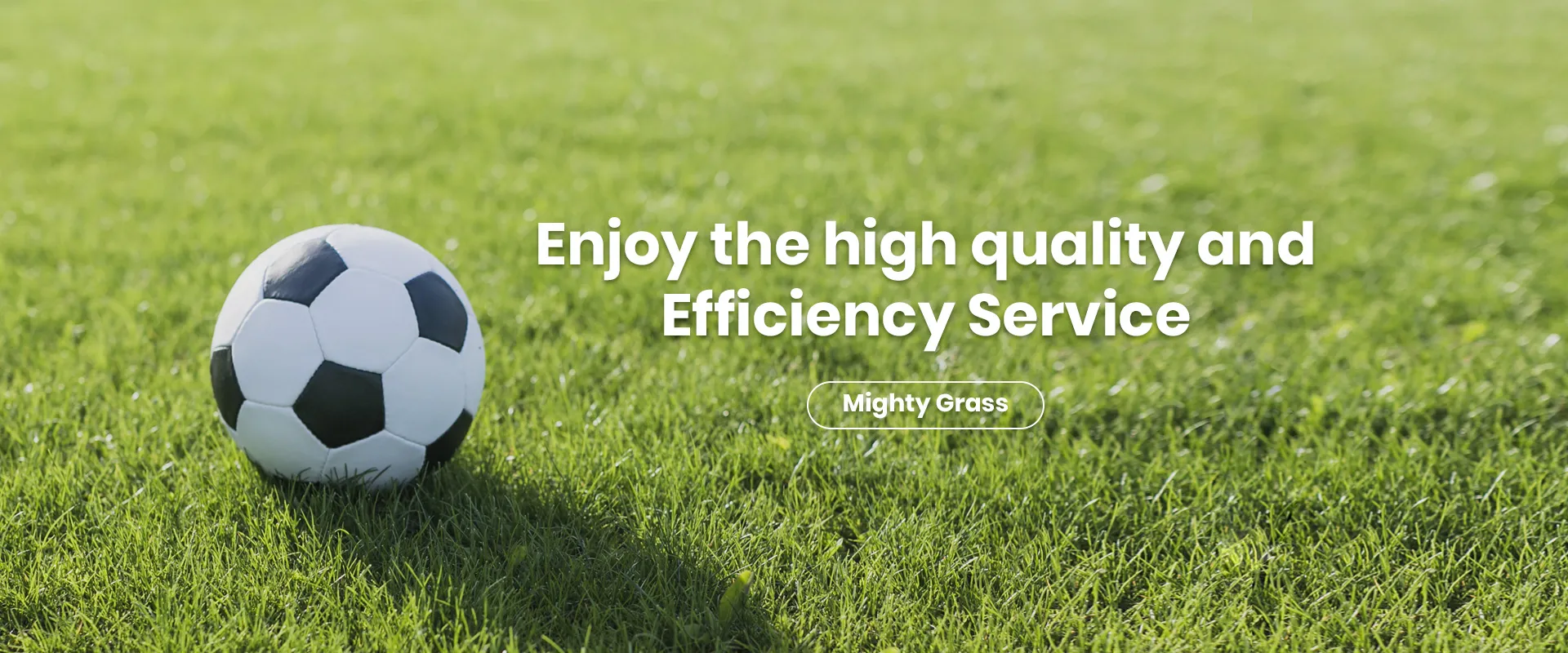 Artificial Grass Exporter for Golf Green Solutions Artificial Grass Exporter for Golf Green Solutions