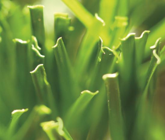 Superior Grade Artificial Grass Enhancing Outdoor Spaces