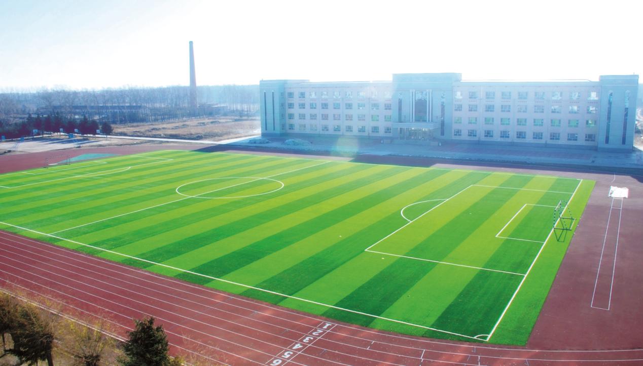 Wholesale Landscape Artificial Grass Aesthetic and Durable Outdoor Flooring Solution