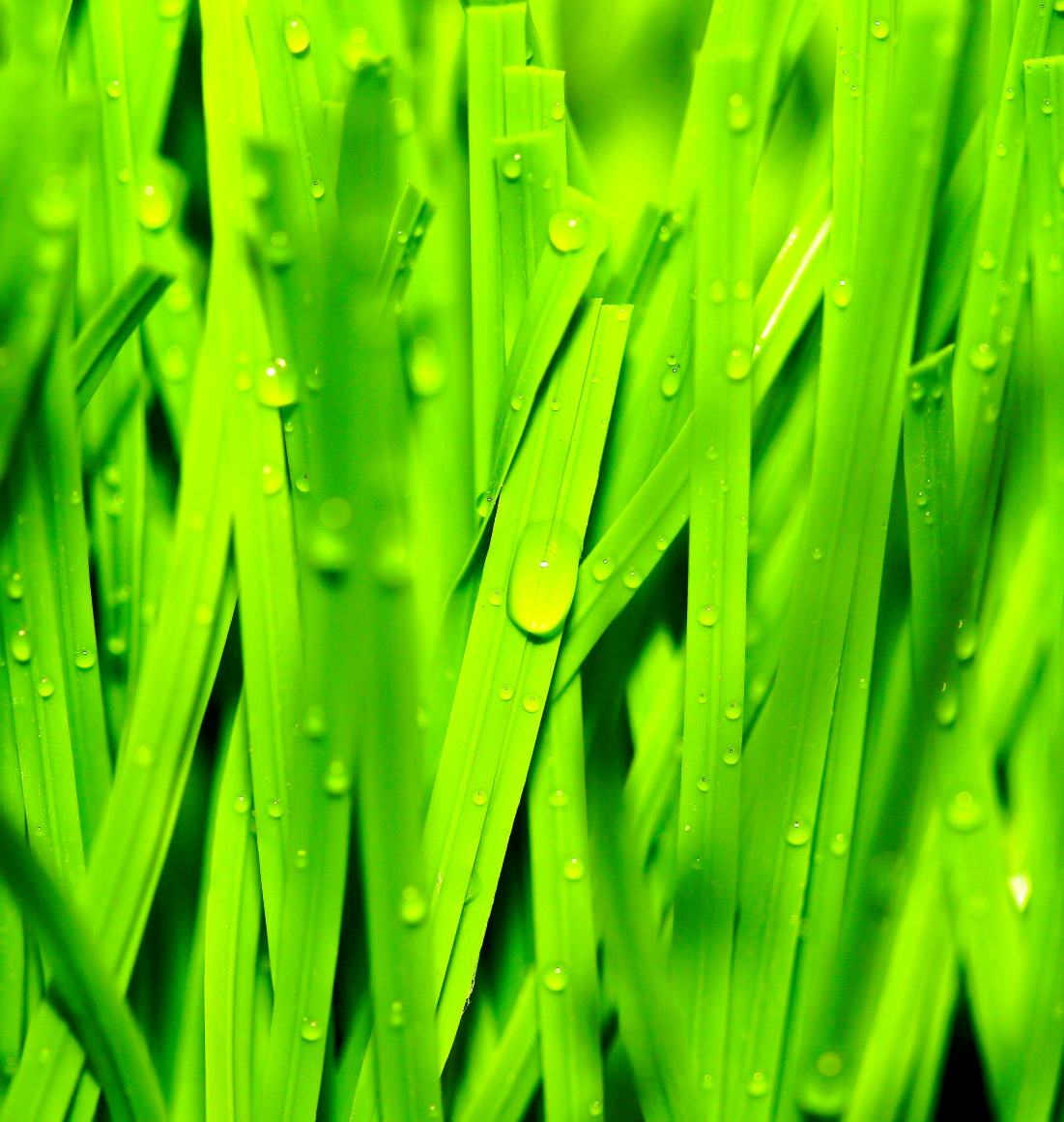 Soccer Field Synthetic Grass Price Export Analysis Soccer Field Synthetic Grass Price Export Analysis