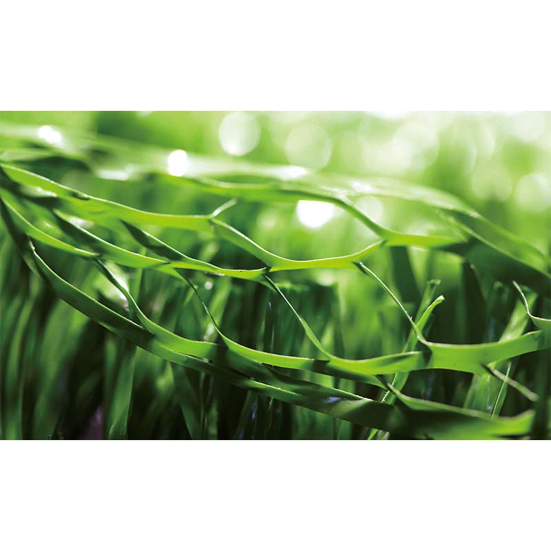 Artificial Grass Factory Golf Turf Innovations for Synthetic Play Surfaces