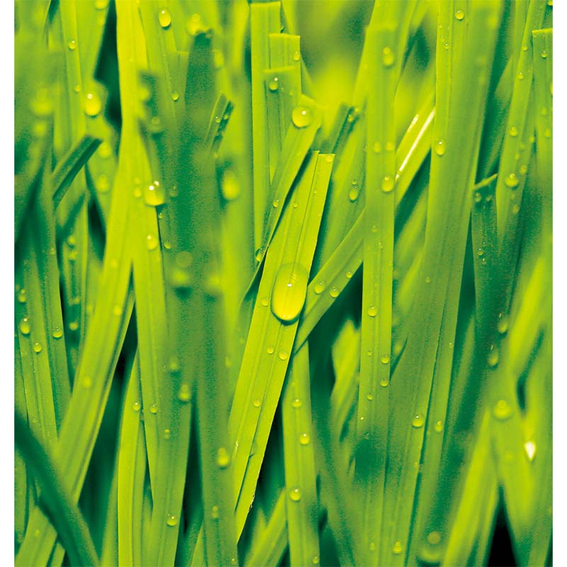 Revolutionizing Football State-of-the-Art Grass Alternatives in Artificial Turf Stadium Factories Revolutionizing Football State-of-the-Art Grass Alternatives in Artificial Turf Stadium Factories