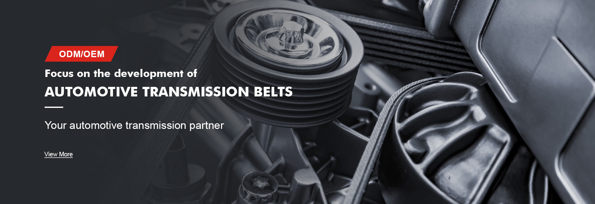 Read More About toothed drive belts