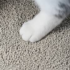 Is Sodium Bentonite Cat Litter Toxic or Cause Urinary Problems Cats? Bentonite cat litter