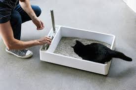 Find a reliable white bentonite cat litter supplier. Find a reliable white bentonite cat litter supplier.