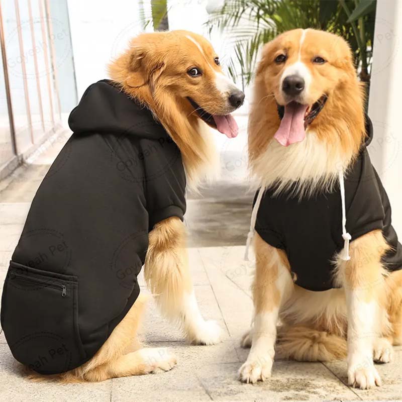 should we put dogs in clothes?