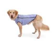 Does your dog hate wearing clothes?