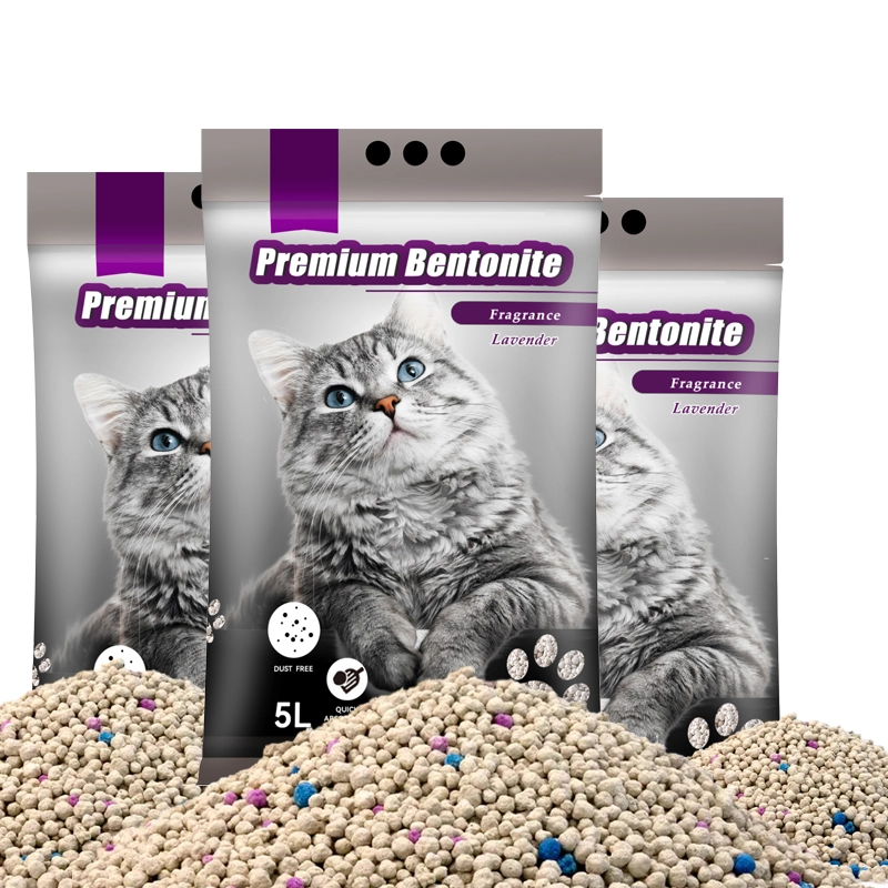 Roomba and Cat Litter A Cleanliness Conundrum Roomba and Cat Litter A Cleanliness Conundrum