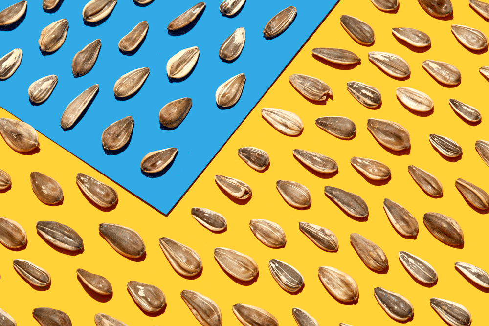 Find sunflower seeds suppliers online.