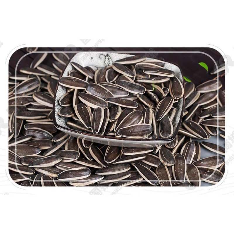 Sunflower seeds export companies Sunflower seeds export companies