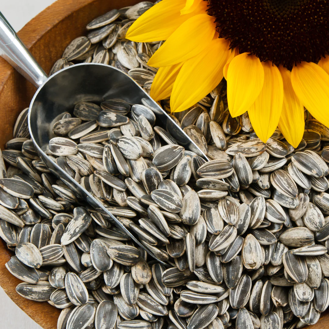 Customized Sunflower Seed Packing Customized Sunflower Seed Packing