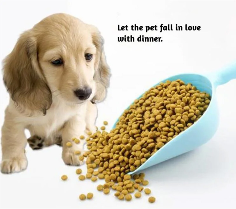 Dog food