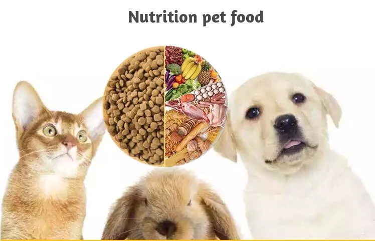 The Chinese Pet Nutrition and Feeding Guidelines have been released